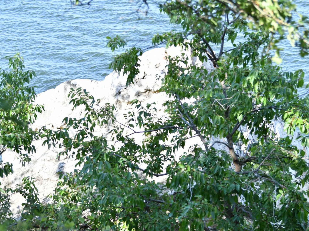 Eisenhower State Park-丹尼森必去景点