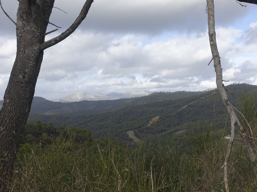 Montes de Malaga Natural Park景点图片