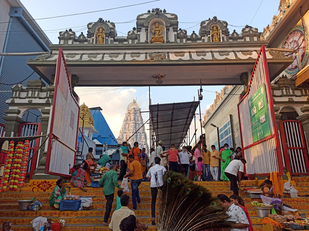 Sri Padmavathi Ammavari Temple景点图片