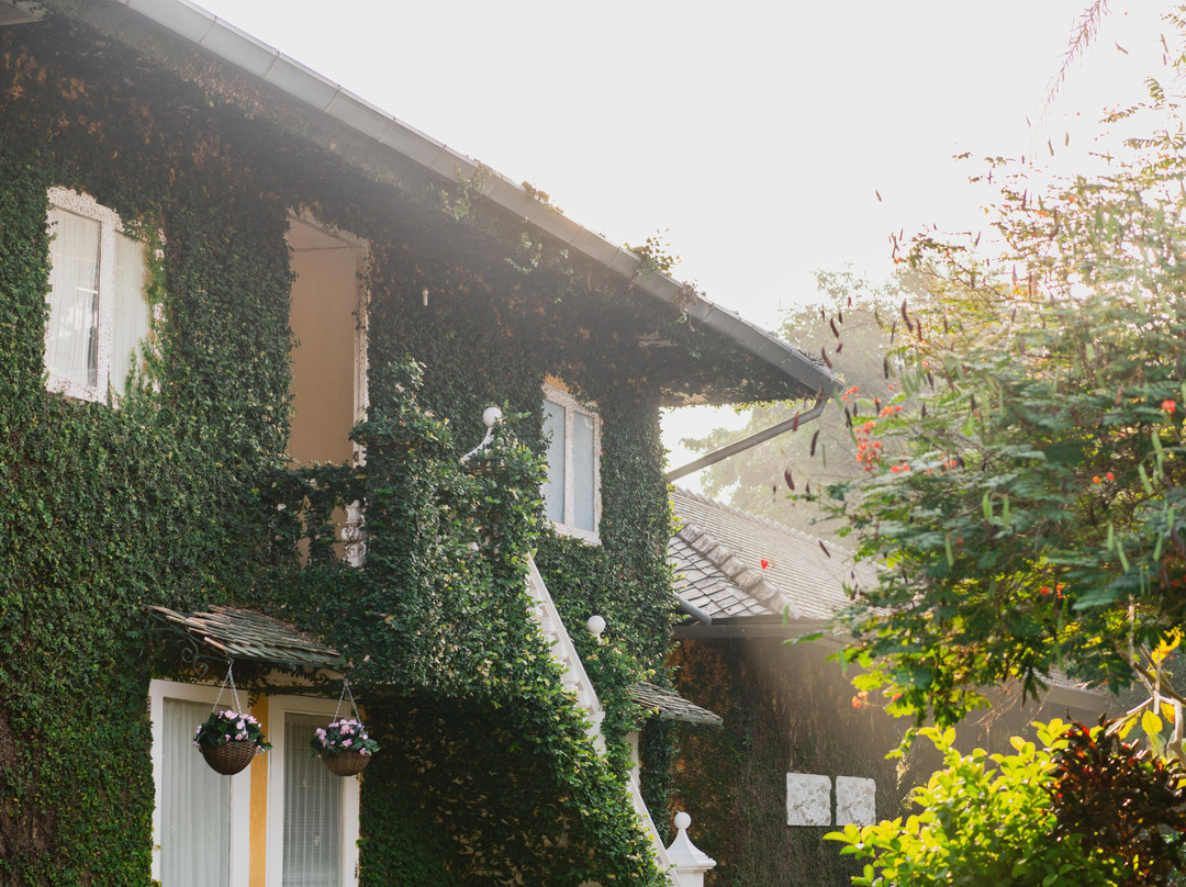 Rosario Oasis Resort主图