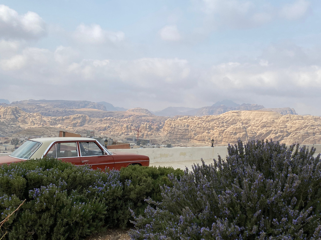 B&b Petra Fig Tree Villa主图