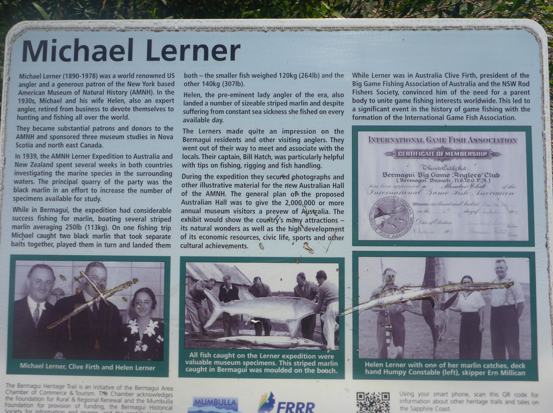 Michael Lerner Lookout景点图片