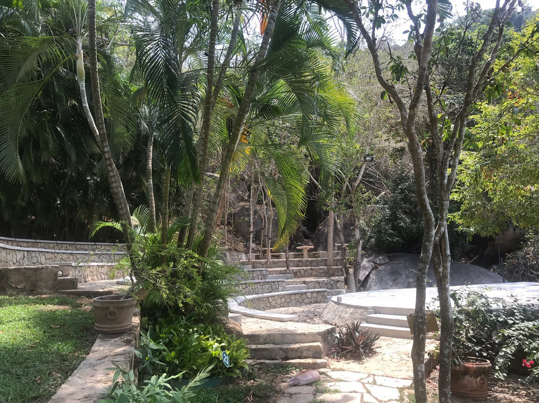 Jardín Botánico de Acapulco景点图片