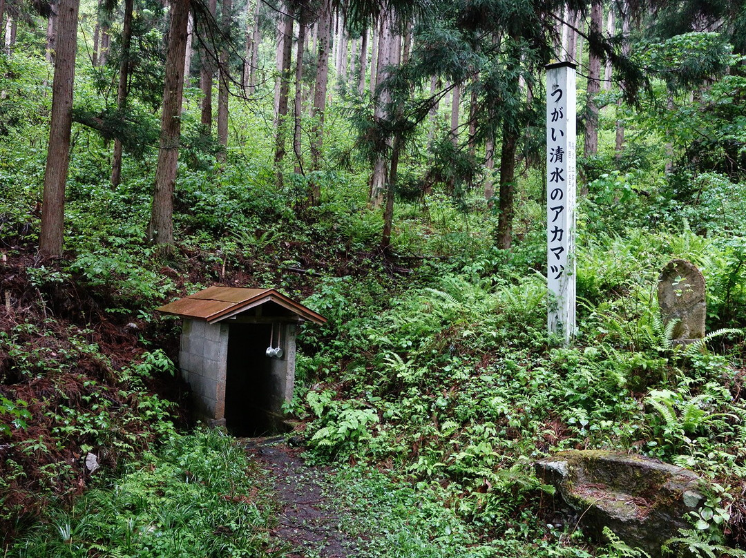 Hikudari Kannondo景点图片