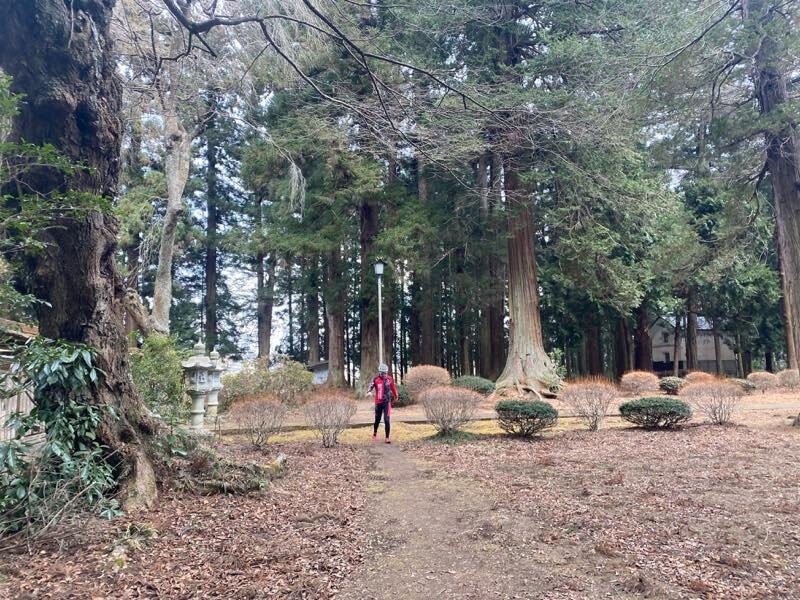 Babatsutsukowake Shrine-棚仓町必去景点