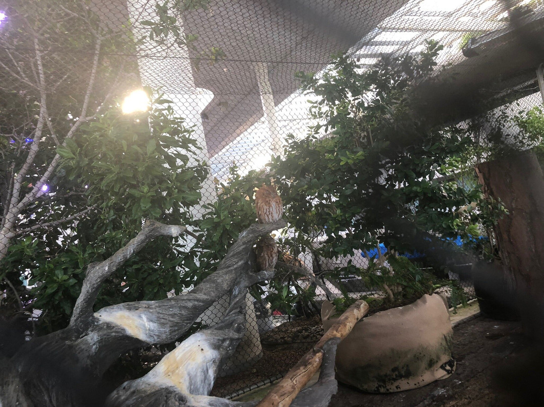 Phillip And Patricia Frost Museum Of Science-迈阿密必去景点