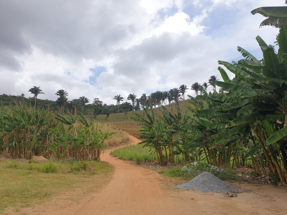 Engenho Goiamunduba-Bananeiras必去景点