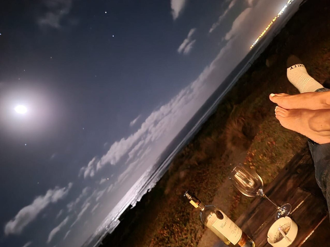 Hotel Alaia - Punta De Lobos主图