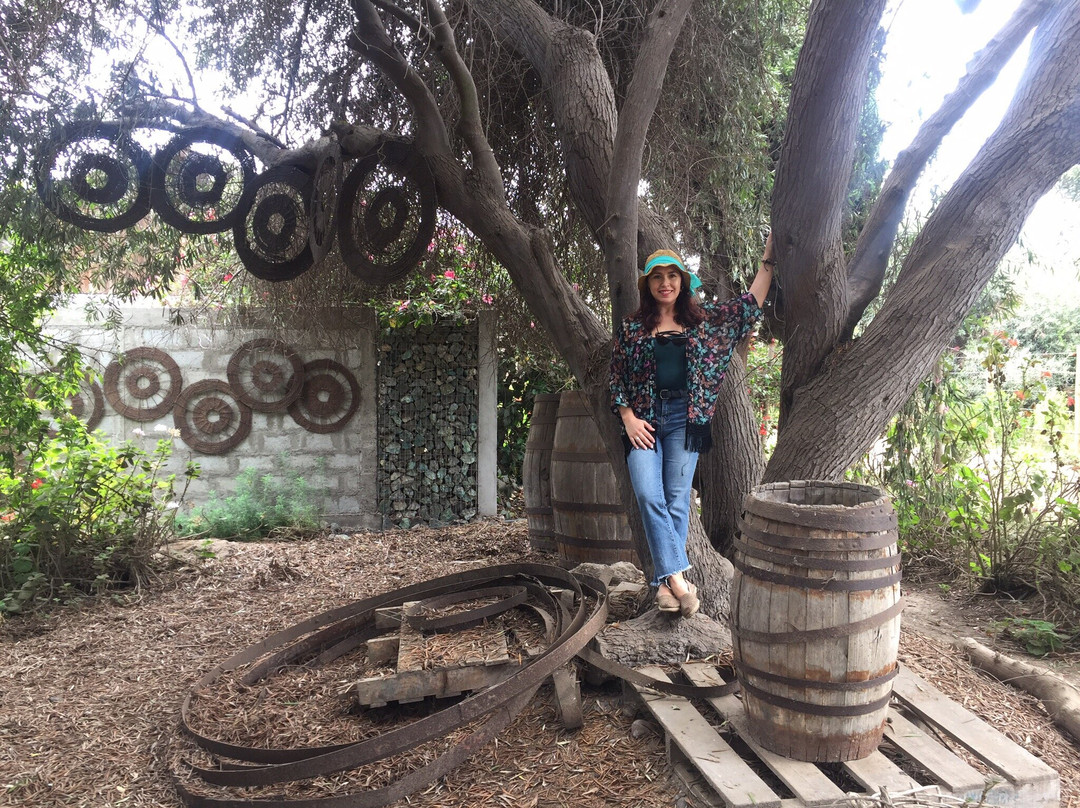 Olivos Centenarios-Huasco必去景点