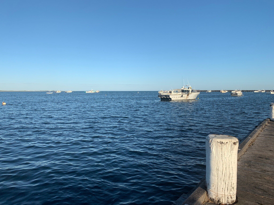 Port Macdonnell Jetty景点图片