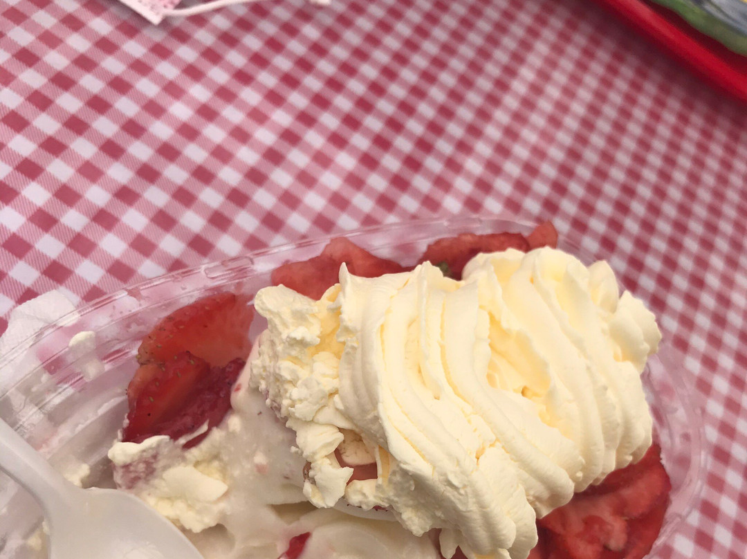 Parkesdale Farm Market-普兰特城必去景点