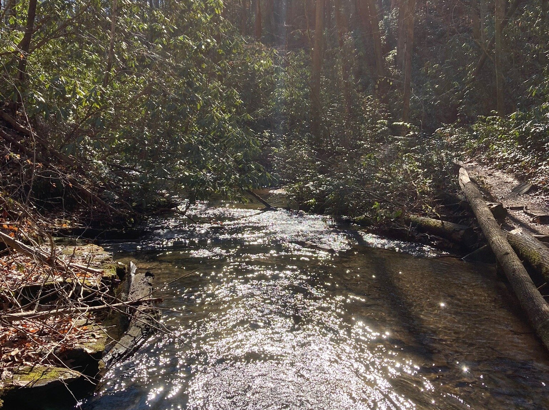 Cherokee Foothills Scenic Highway-南卡罗来纳必去景点