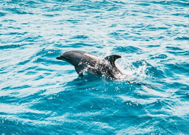 Ted Sperling Park-萨拉索塔必去景点