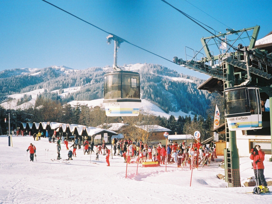 Mont d'Arbois Ski Area景点图片