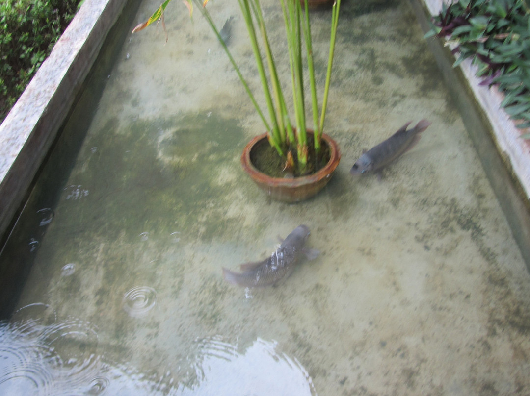 普塔旺度假村主图