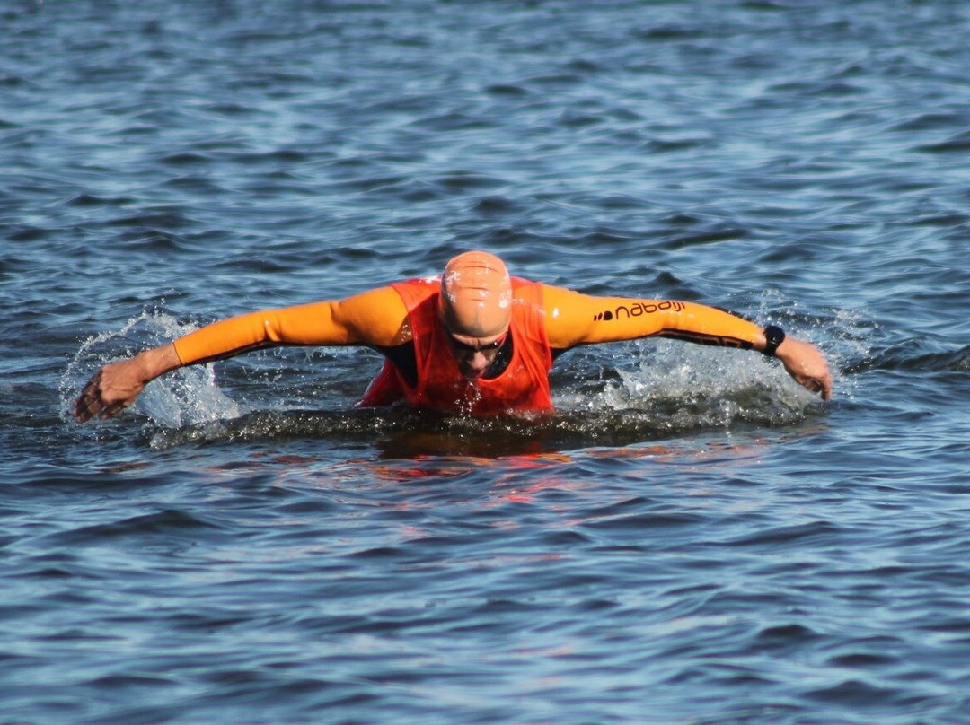 Stichting 40 Mijl-Lauwersoog必去景点