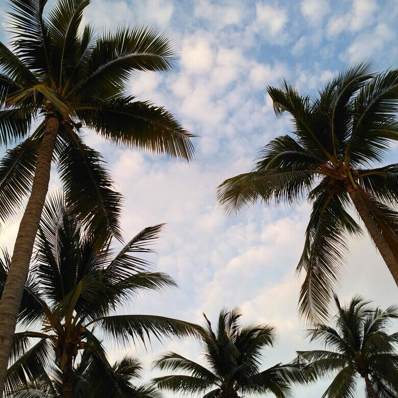 柏德中天酒店主图