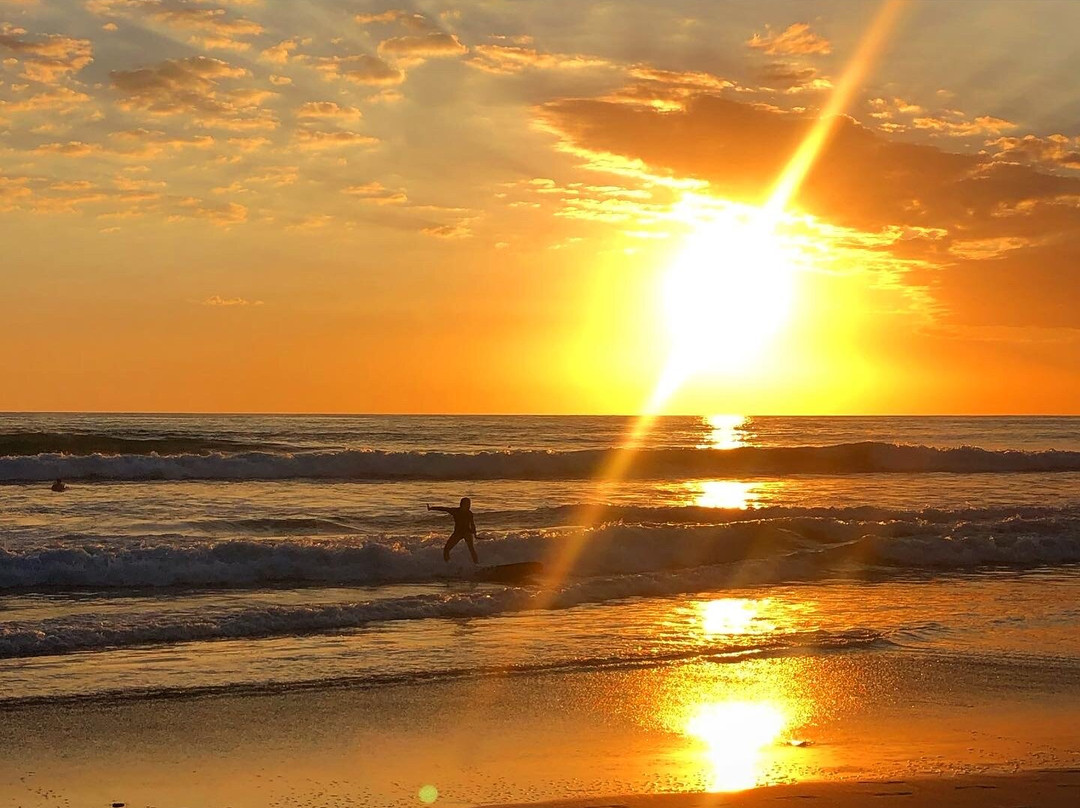 Del Soul Surf School景点图片