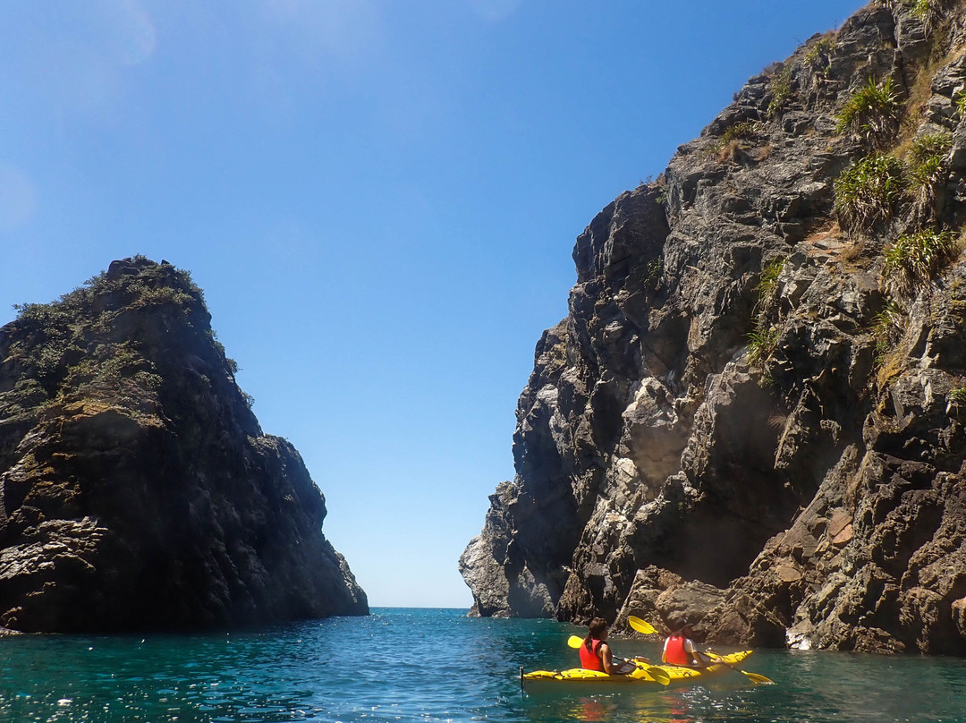 Cable Bay Kayaks-尼尔森必去景点