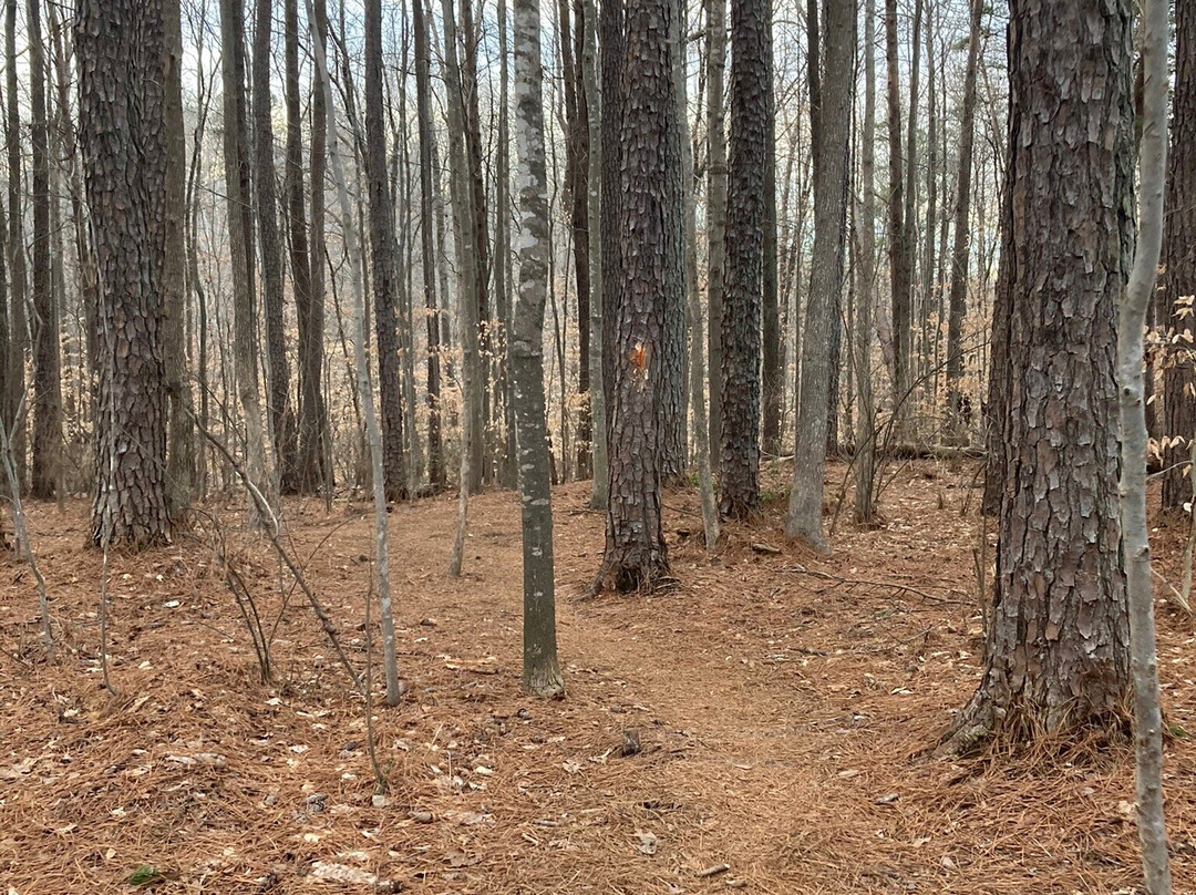 George Poston Park景点图片