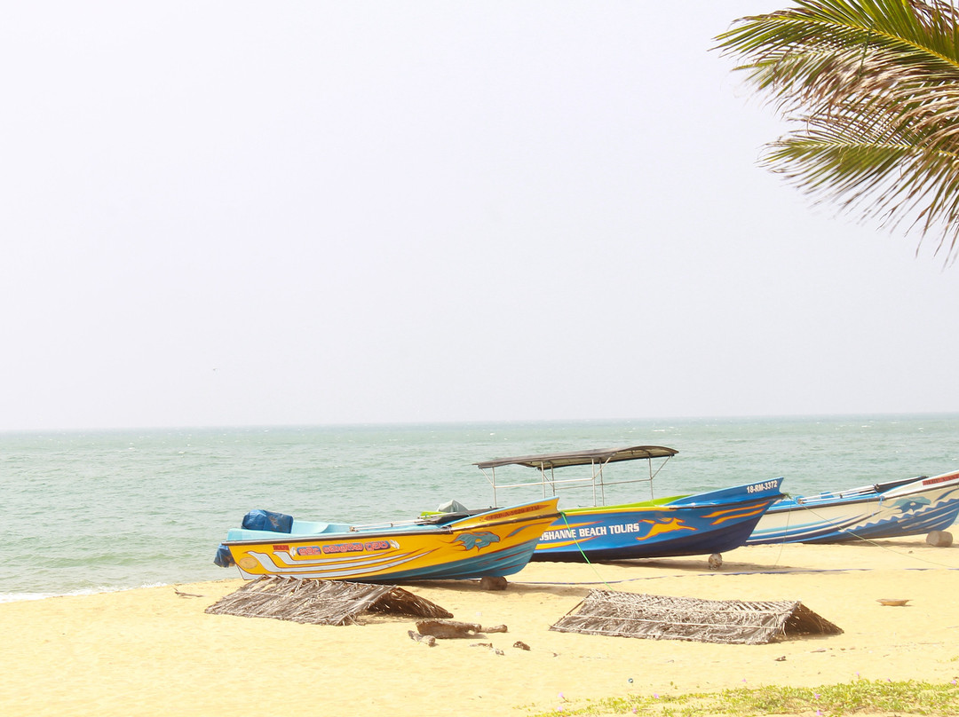 海豚海滩度假村主图