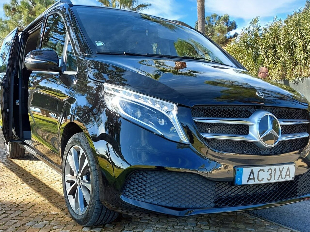 SeagullCircuit-法罗必去景点