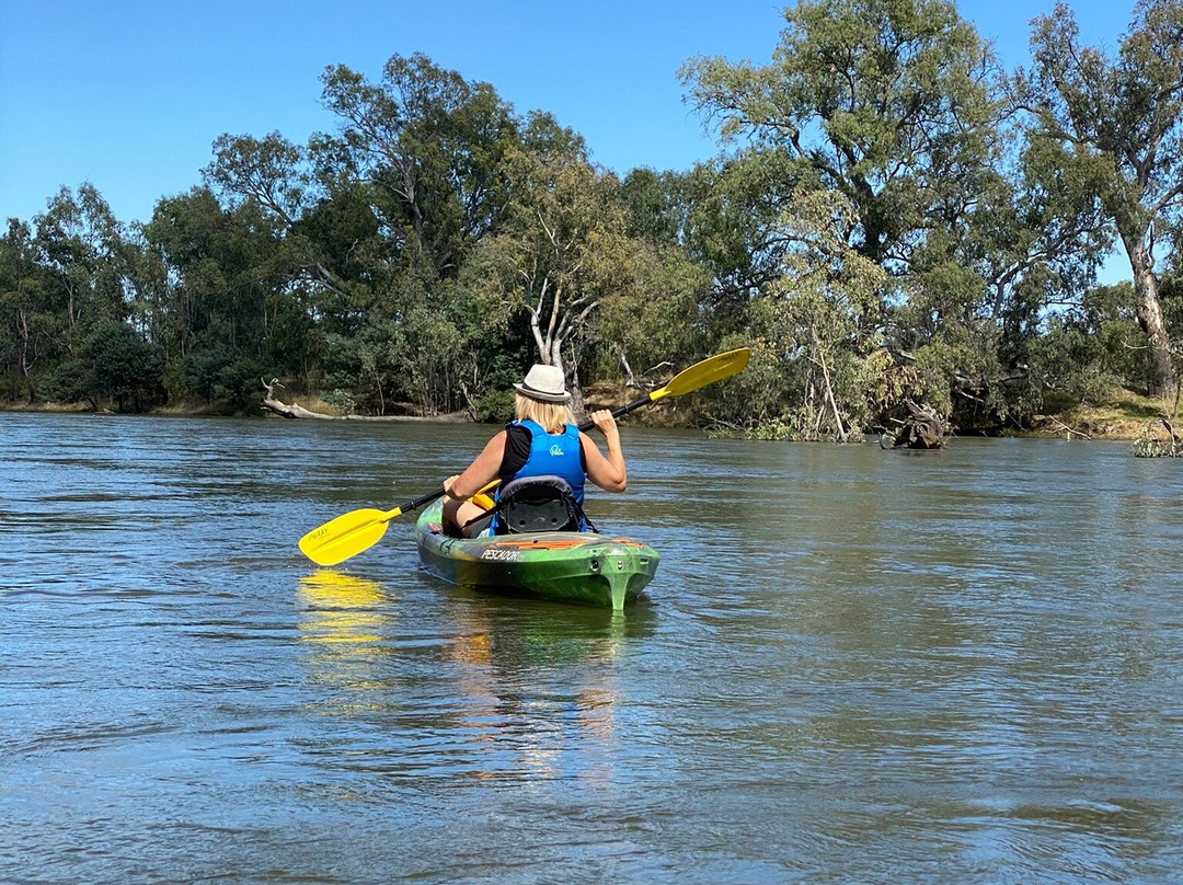 Murray River Canoe Hire景点图片