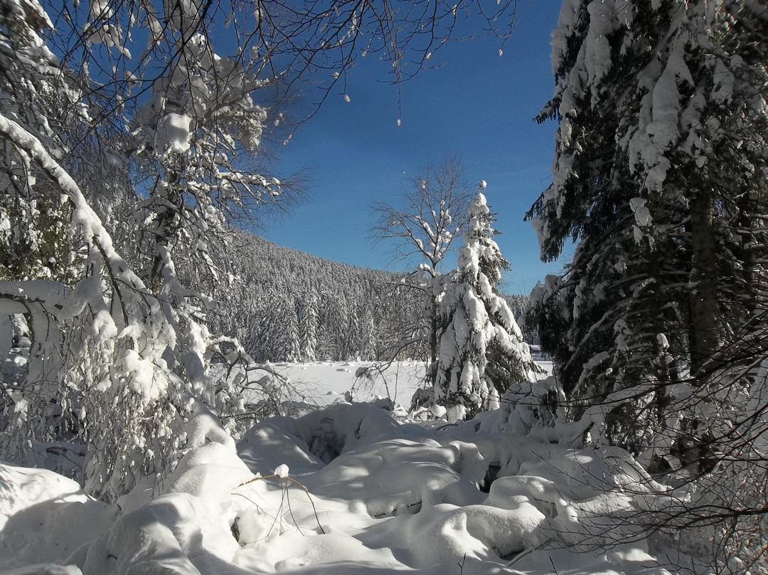 Lac de Lispach-La Bresse必去景点