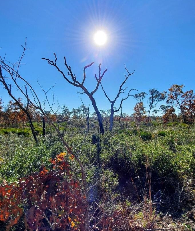 Tiger Creek Preserve-莱克威尔士必去景点