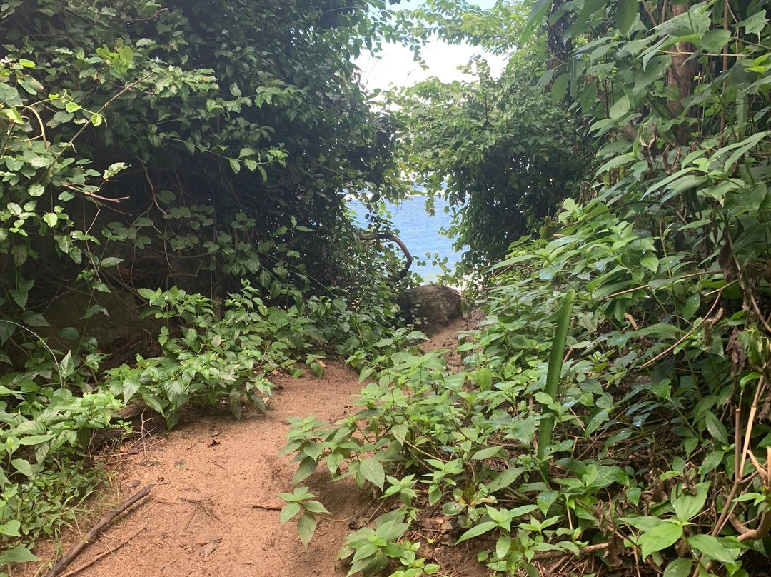 Tayrona Juancho's House Hostel
