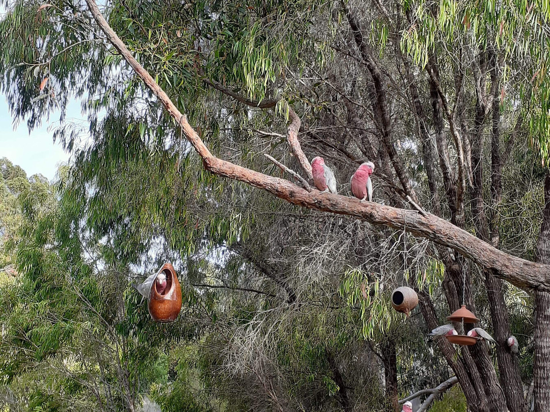 Llewellin's Guest House主图