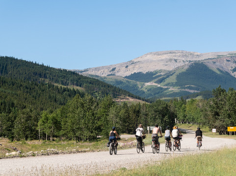 Wild Rose Adventures Bicycle Tours