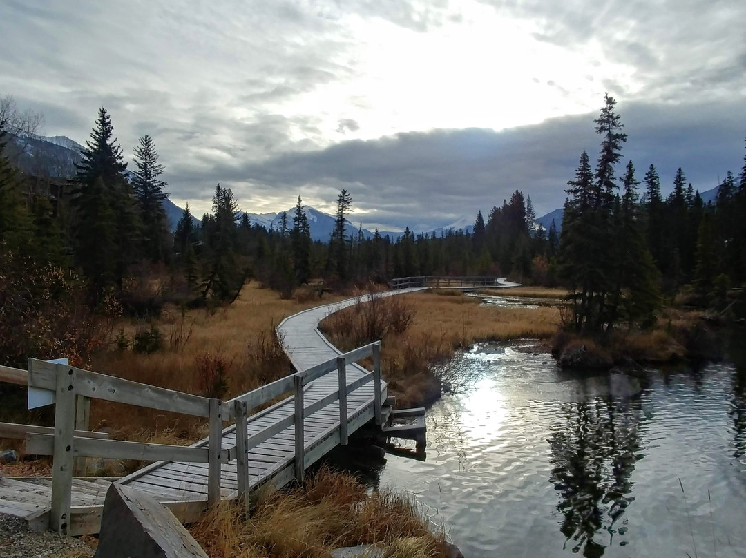 Policeman's Creek Boardwalk景点图片