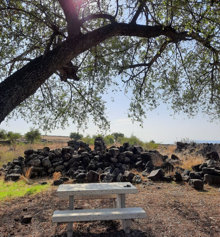 Korazim National Park-Capernaum必去景点