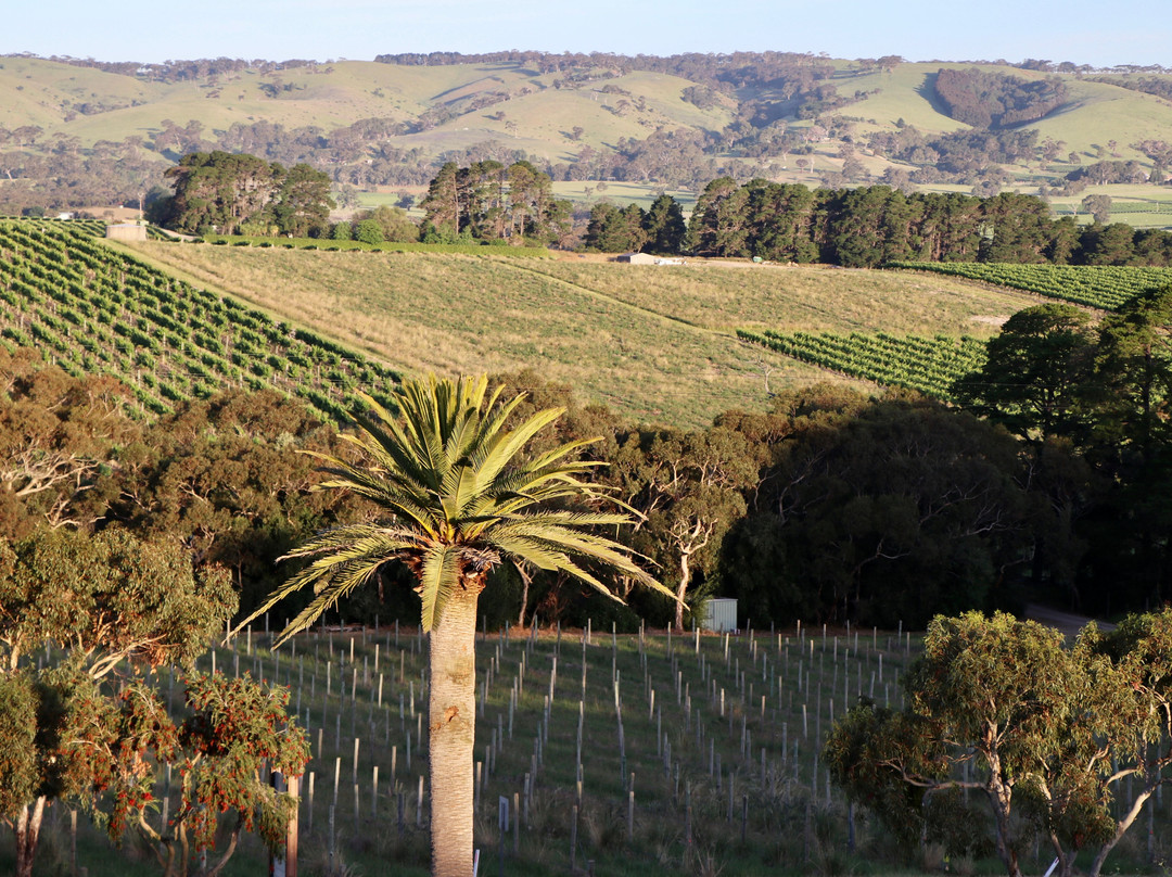 The Vineyard Retreat McLaren Vale主图