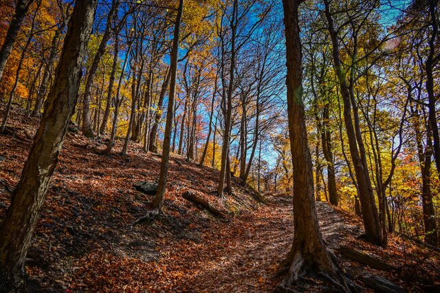 Maryland Heights Trail景点图片