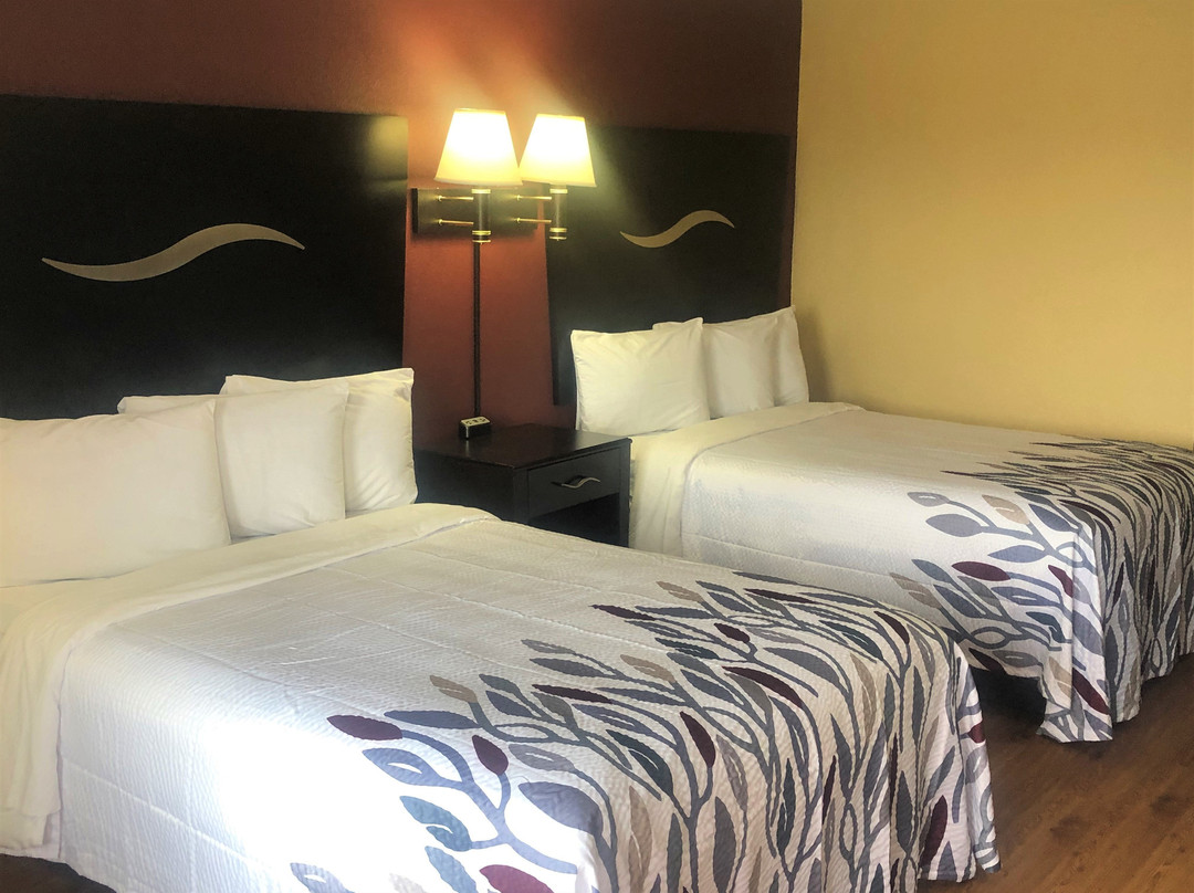 Red Roof Inn Berea主图