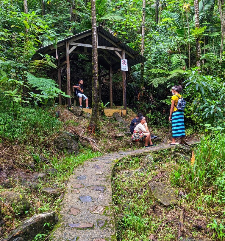 Mount Britton Trail-云盖国家森林公园必去景点