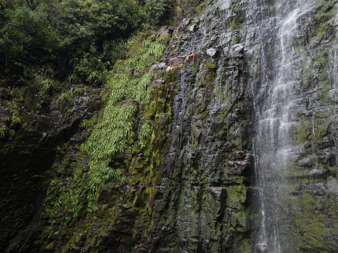 Adamsons Falls景点图片