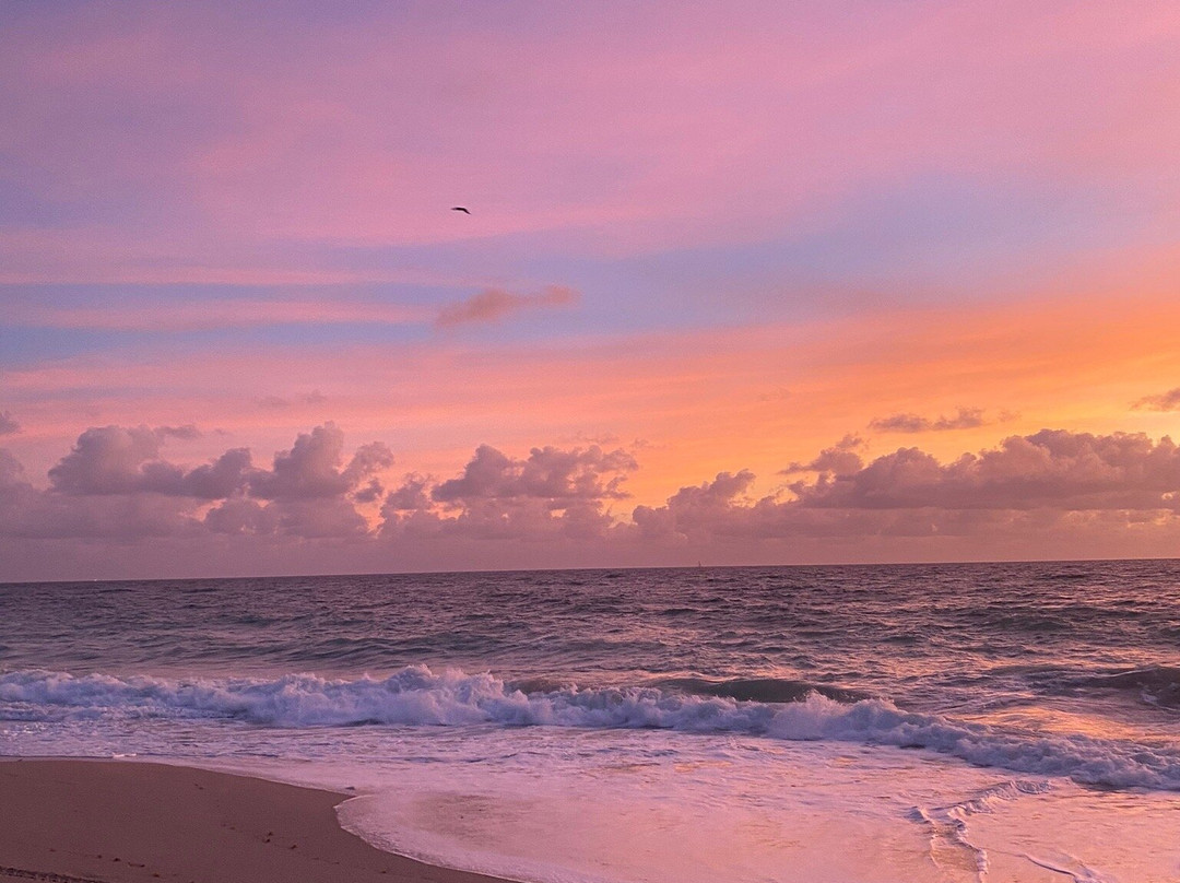 Juno Beach Park-朱诺海滩必去景点