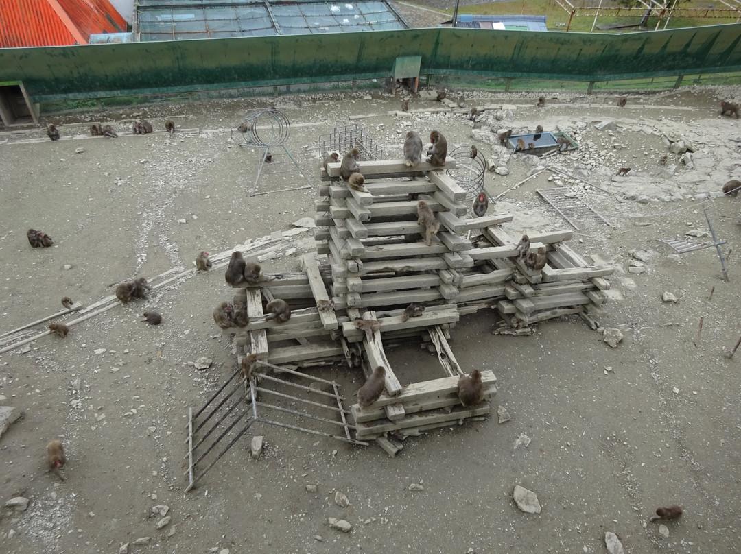 Hodosan Small Animal Park-长瀞町必去景点