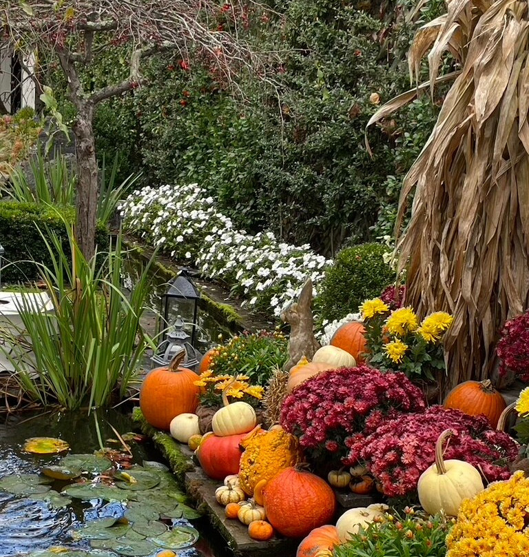 The Inn at Little Washington主图