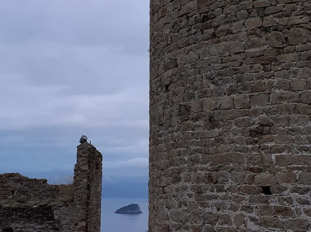 Castello di Monte Ursino景点图片