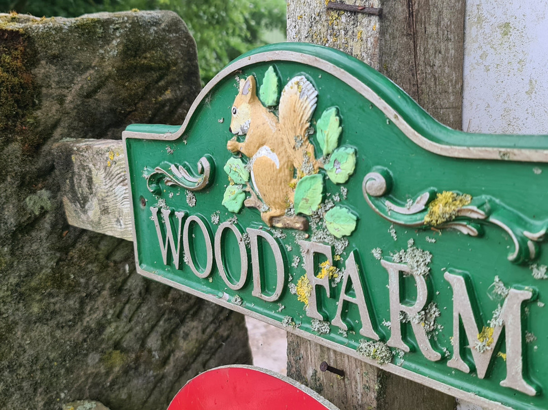 Tean旅游攻略图片