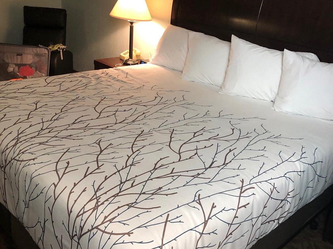 Gettysburg Inn & Suites主图