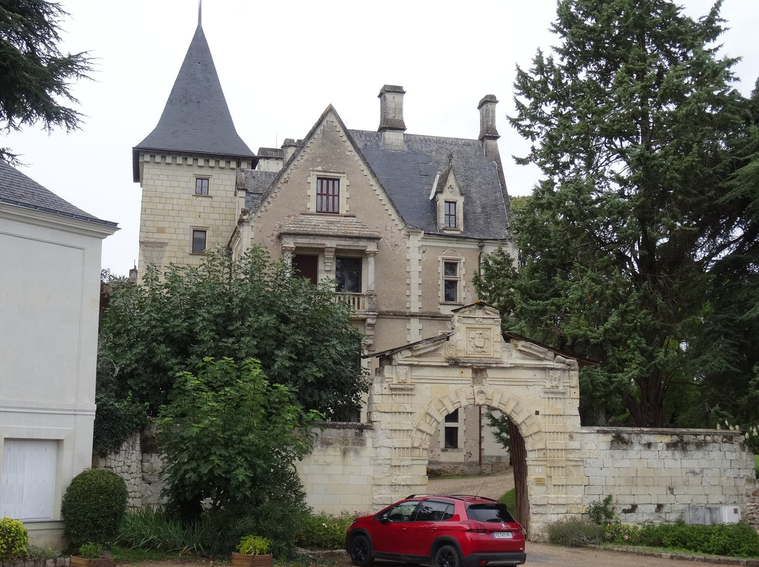 chapelle du château de Cunault景点图片