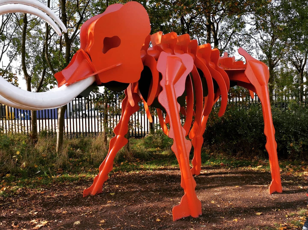 Teessaurus Park景点图片