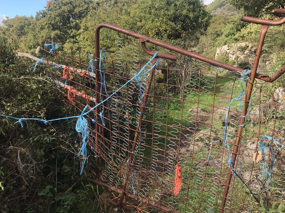 Parco Archeologico E Botanico Su Motti