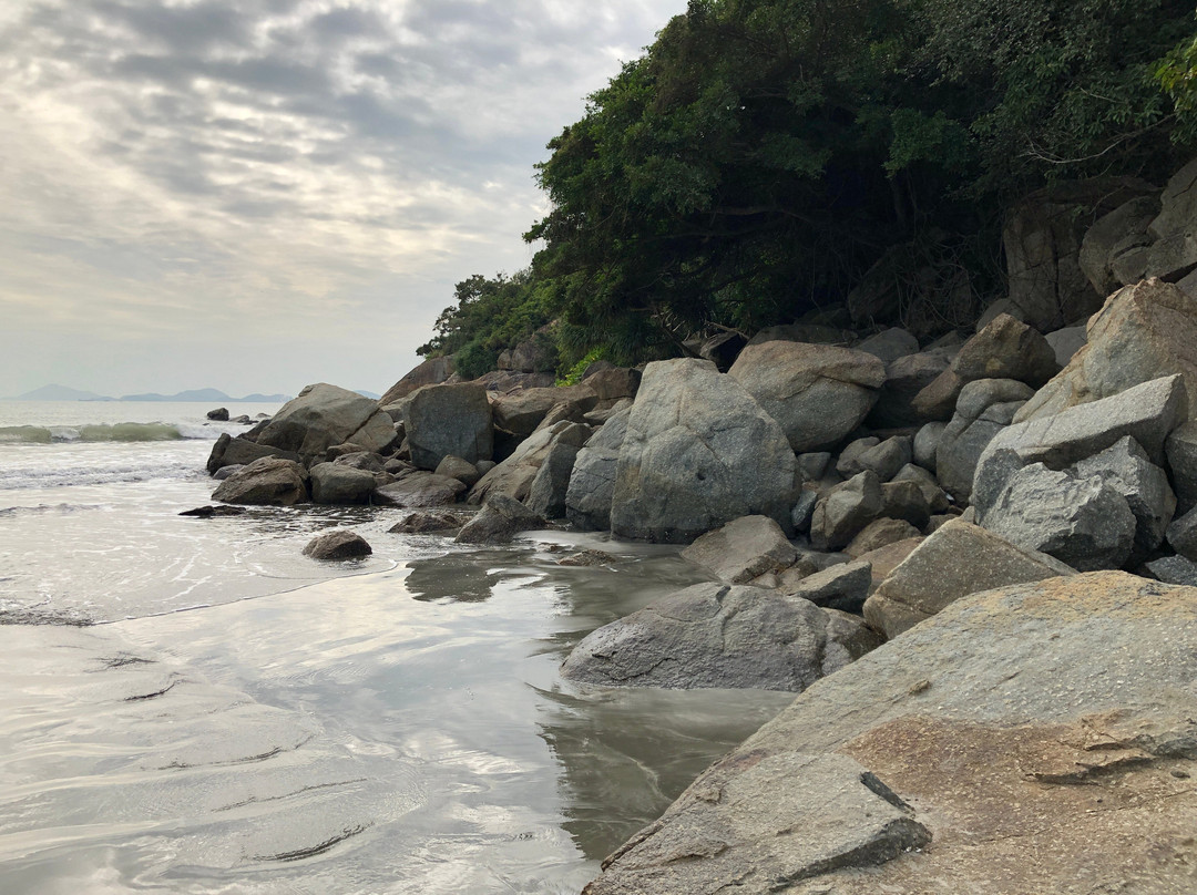 杯澳-香港必去景点