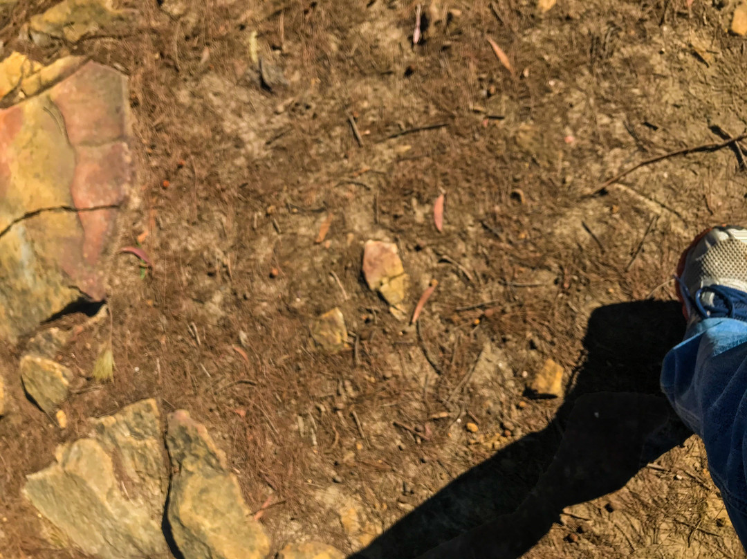 Sublime Point Lookout-鲁拉镇必去景点